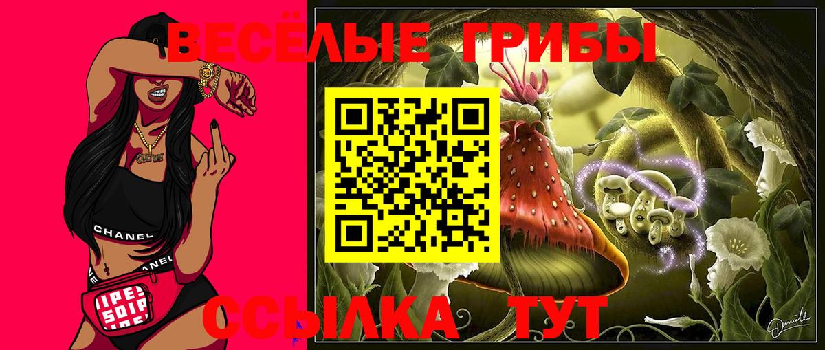 Галлюциногенные грибы Magic Shrooms Гудермес