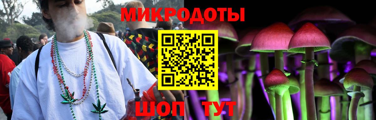 Псилоцибиновые грибы GOLDEN TEACHER  Вход с VPN  Гудермес 